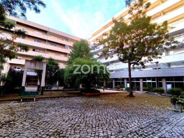 1 quarto, Anadia Anadia 102921567