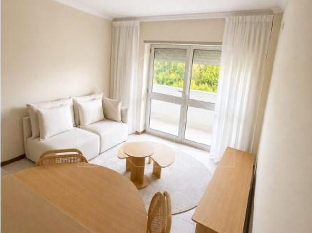 1 quarto, Anadia Anadia 104261337