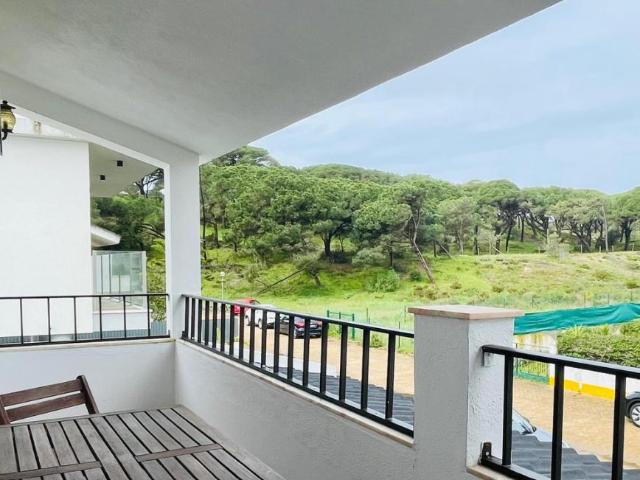 1 quarto, Aroeira Aroeira 99385848