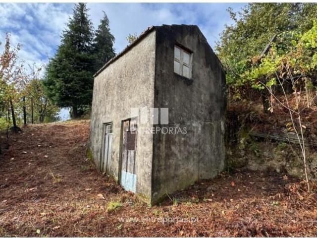 1 quarto, Baião Baião 100648590