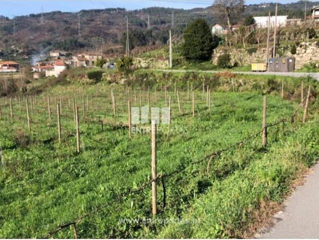 1 quarto, Baião Baião 100929343