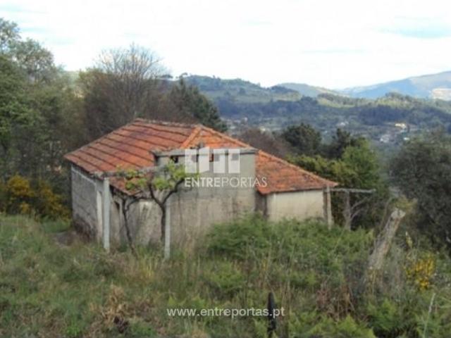 1 quarto, Baião Baião 102591415