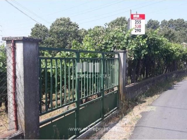 1 quarto, Baião Baião 103333620
