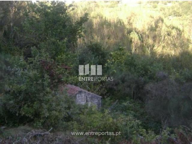 1 quarto, Baião Baião 103389246