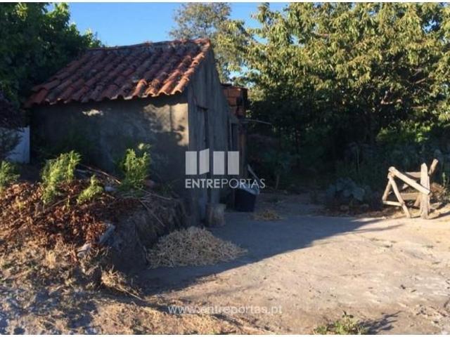 1 quarto, Baião Baião 104934810