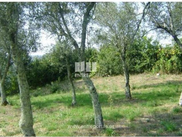 1 quarto, Baião Baião LS102239785