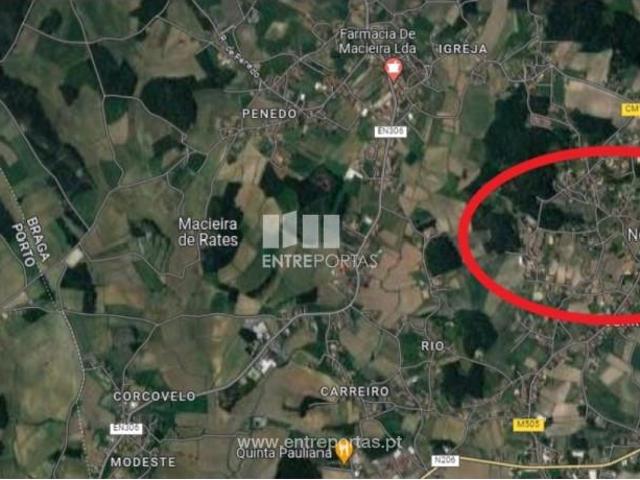 1 quarto, Barcelos Barcelos 93024712