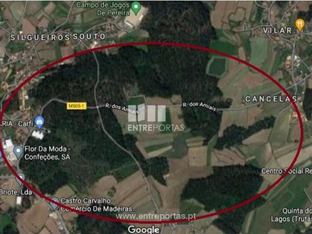 1 quarto, Barcelos Barcelos 104697010