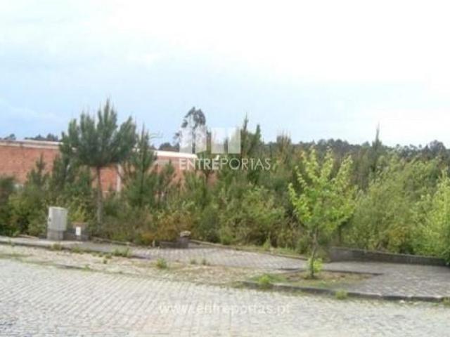 1 quarto, Barcelos Barcelos 104767145