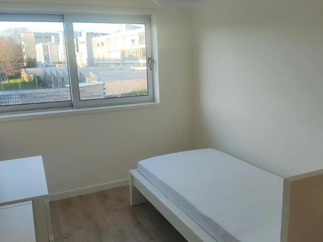 1 quarto, Braga Braga 4710 374 100723617