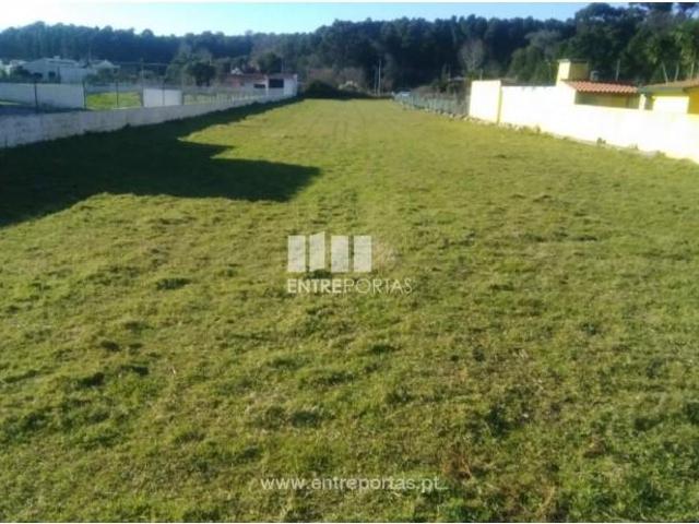 1 quarto, Caminha Caminha 104665298