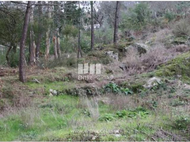 1 quarto, Caminha Caminha 104817098
