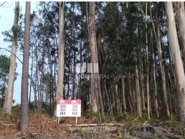1 quarto, Caminha Caminha 104840019