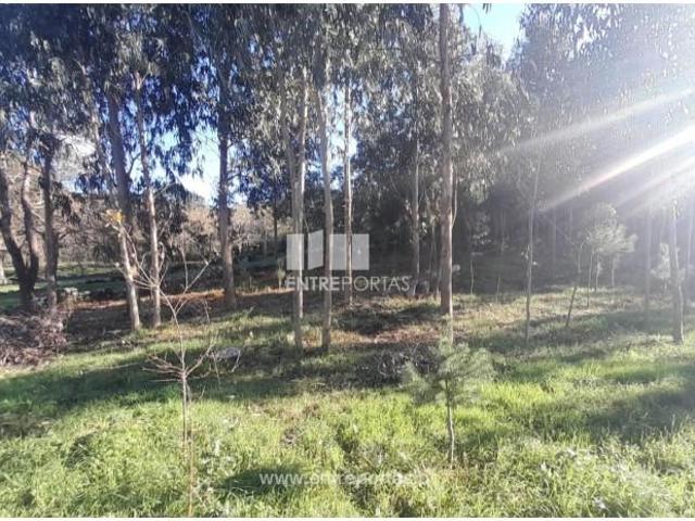 1 quarto, Caminha Caminha 103048062
