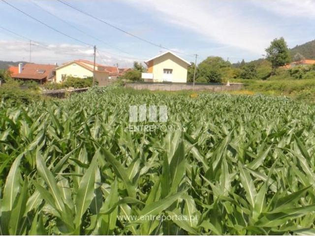 1 quarto, Caminha Caminha 103515939
