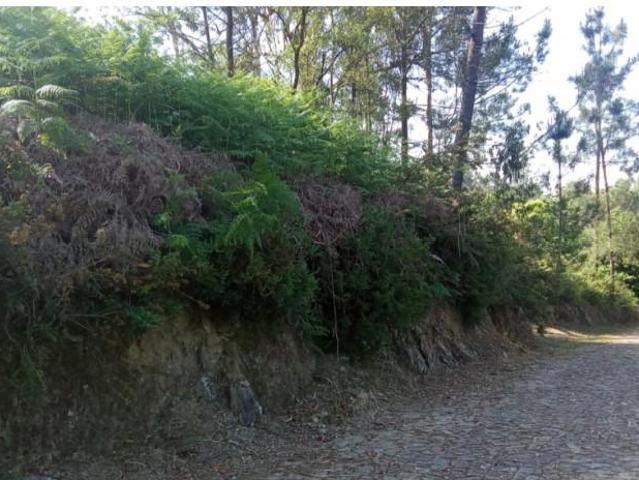 1 quarto, Caminha Caminha 103847818