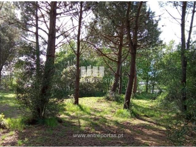1 quarto, Caminha Caminha LS89673619