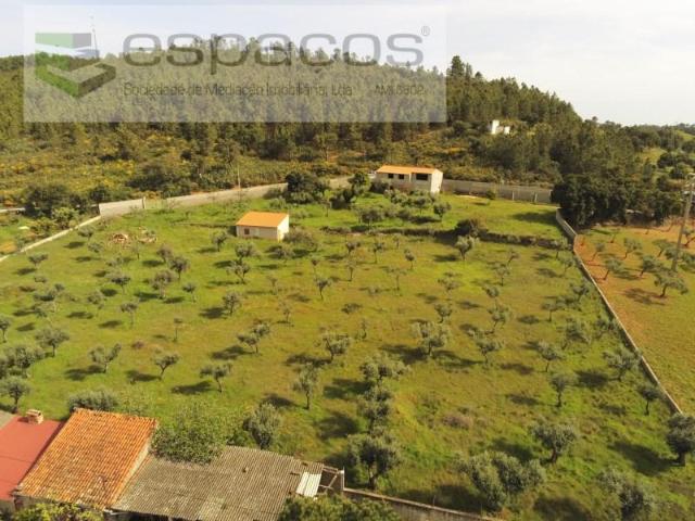 1 quarto, Castelo Branco Castelo Branco 93286427