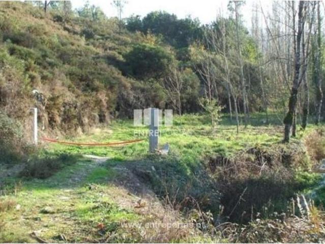 1 quarto, Castelo de Paiva Castelo de Paiva 104840053