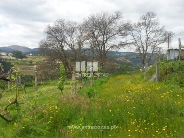 1 quarto, Castelo de Paiva Castelo de Paiva 90292545