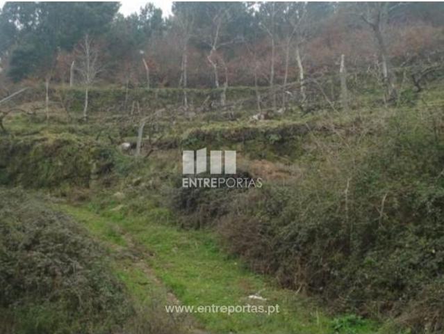 1 quarto, Cinfães Cinfães 104007200