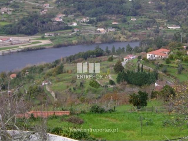 1 quarto, Cinfães Cinfães 104007244