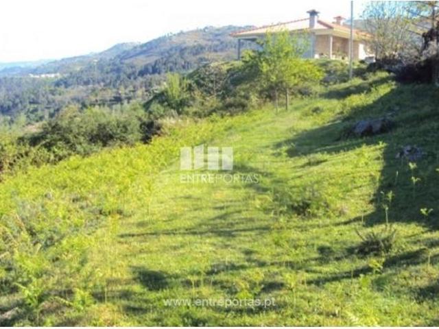 1 quarto, Cinfães Cinfães 104581134