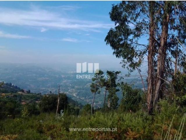 1 quarto, Cinfães Cinfães 104665492