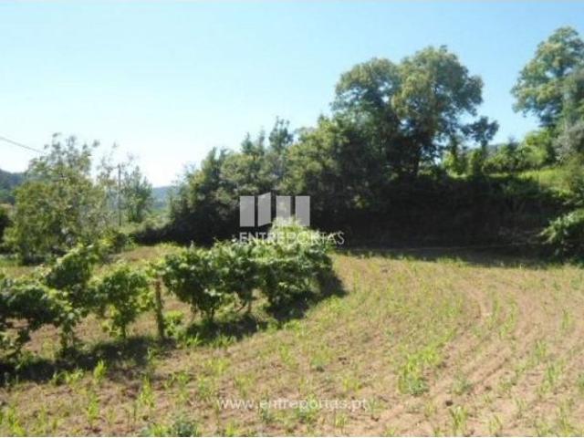 1 quarto, Cinfães Cinfães 104728341