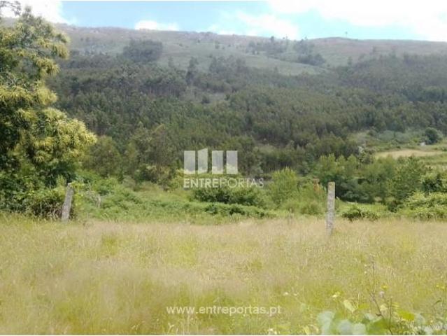 1 quarto, Cinfães Cinfães 104839996