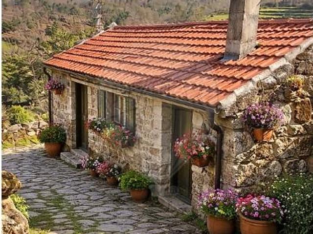 1 quarto, Cinfães Cinfães 101063839