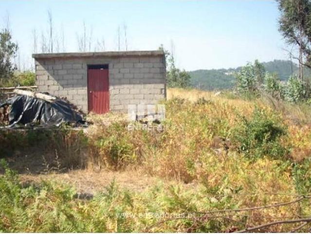 1 quarto, Cinfães Cinfães 103350562