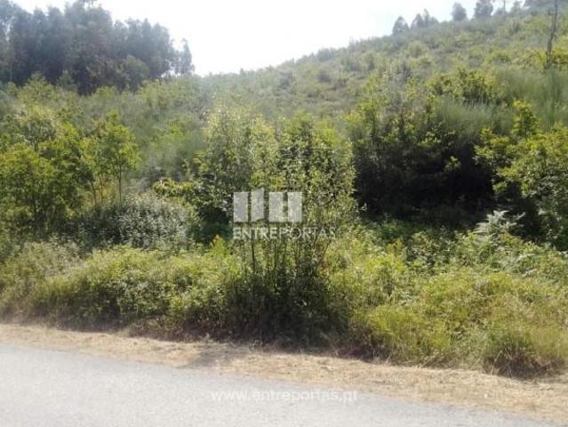1 quarto, Cinfães Cinfães 103979455
