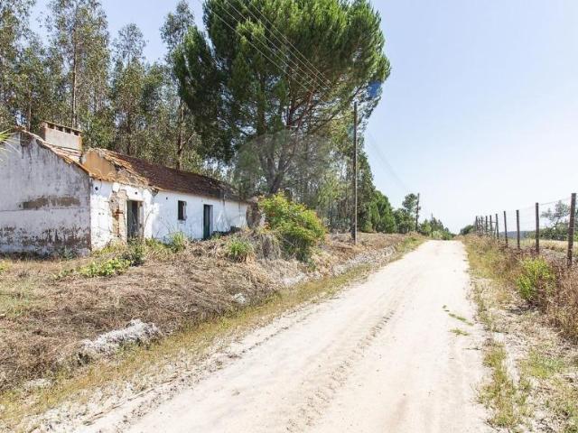 1 quarto, Coruche Santarém 102884845