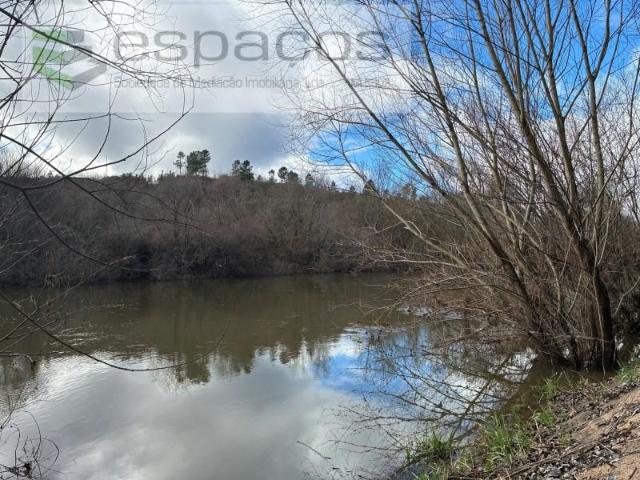 1 quarto, Covilhã Covilhã LS98261599