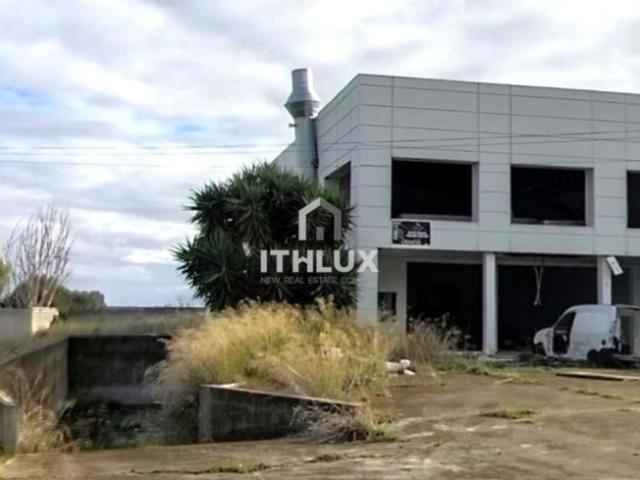 1 quarto, Elvas Portalegre LS97085266