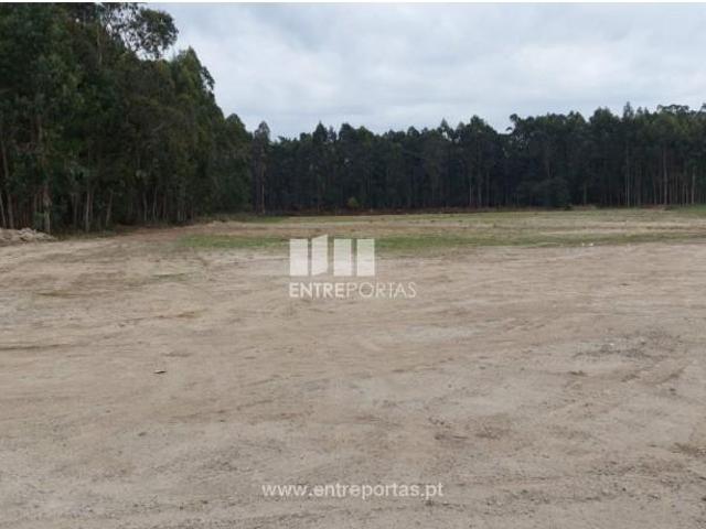 1 quarto, Esposende Esposende 102977200
