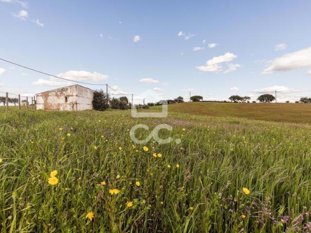 1 quarto, Évora Évora 88599549