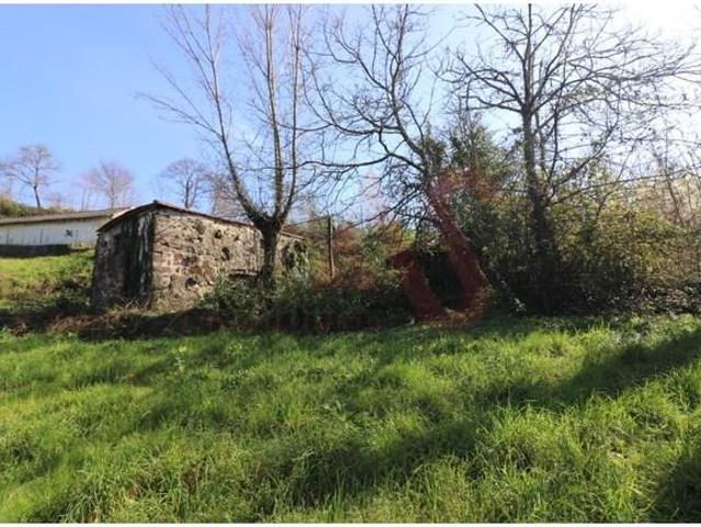 1 quarto, Felgueiras Felgueiras 4610 894 LS102270552