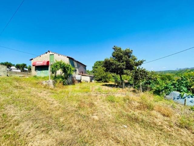 1 quarto, Figueiró dos Vinhos Figueiró dos Vinhos LS100169000