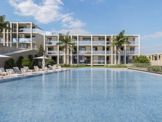 1 quarto, Funchal Ilha da Madeira 94255190