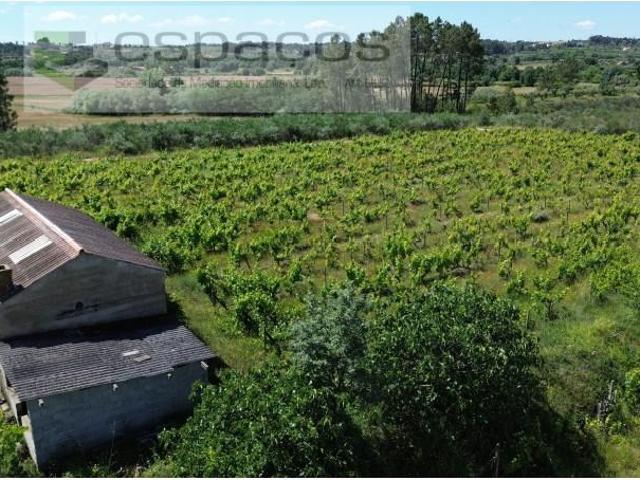 1 quarto, Fundão Fundão 102558524