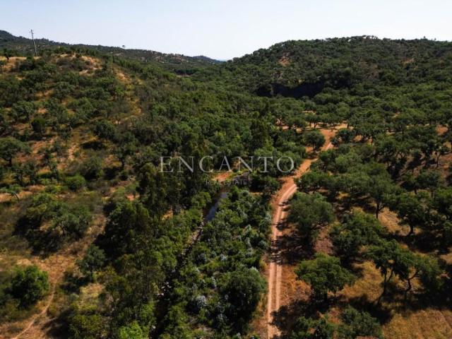 1 quarto, Grândola Grândola 92386300