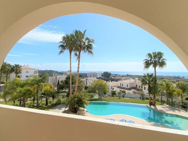 1 quarto, Lagos Algarve LS85572206