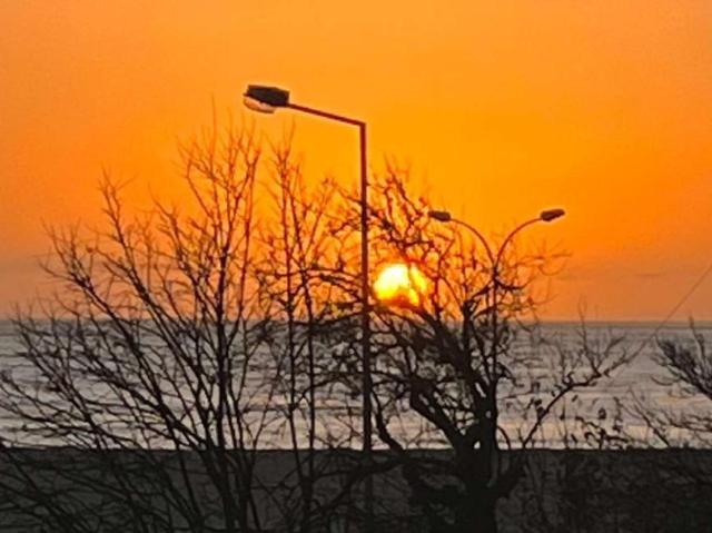 1 quarto, lisbon lisbon 1495 721 103399553