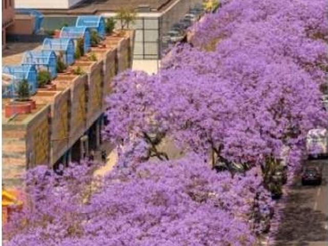 1 quarto, Lisboa Lisboa 103964936