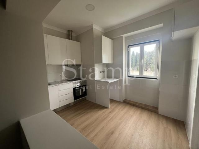 1 quarto, Lisboa Lisboa 1350 LS96428218