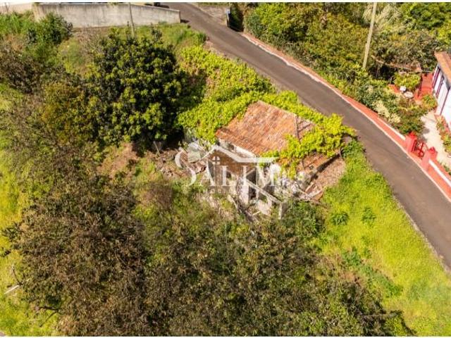 1 quarto, Machico Machico LS102527449
