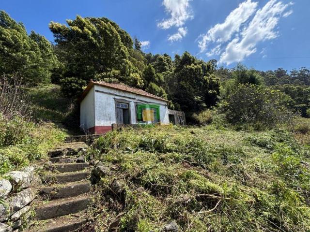 1 quarto, Madeira Ribeira Brava 9350 LS102715063