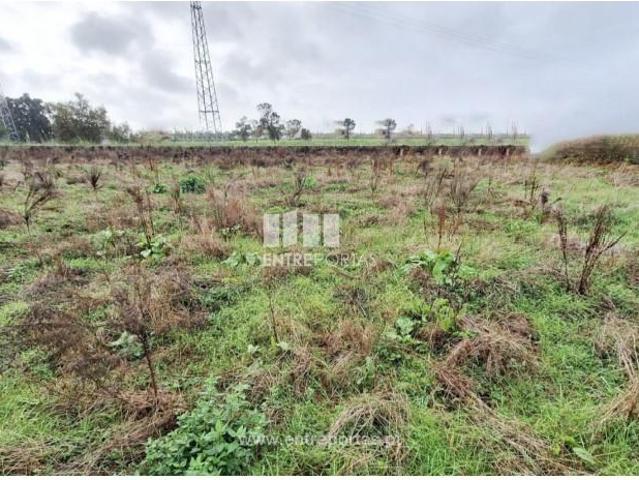 1 quarto, Maia Maia 96174237
